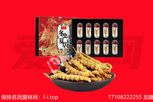 北京市顺义回收虫草.jpg